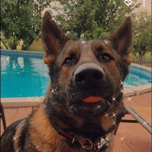 Meet your Posher, Annalee